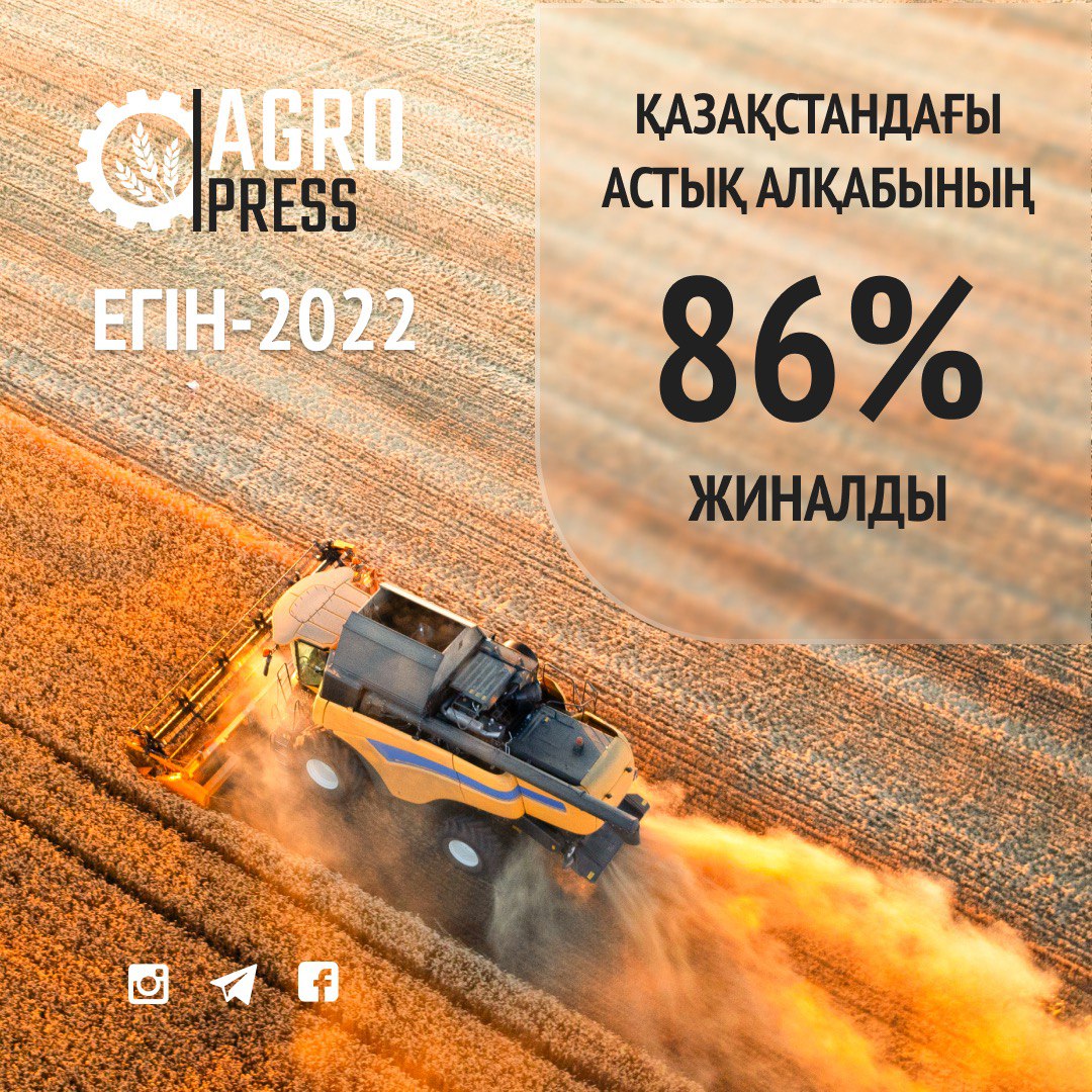 Егін-2022: Қазақстандағы астық алқаптарының 86% жиналды