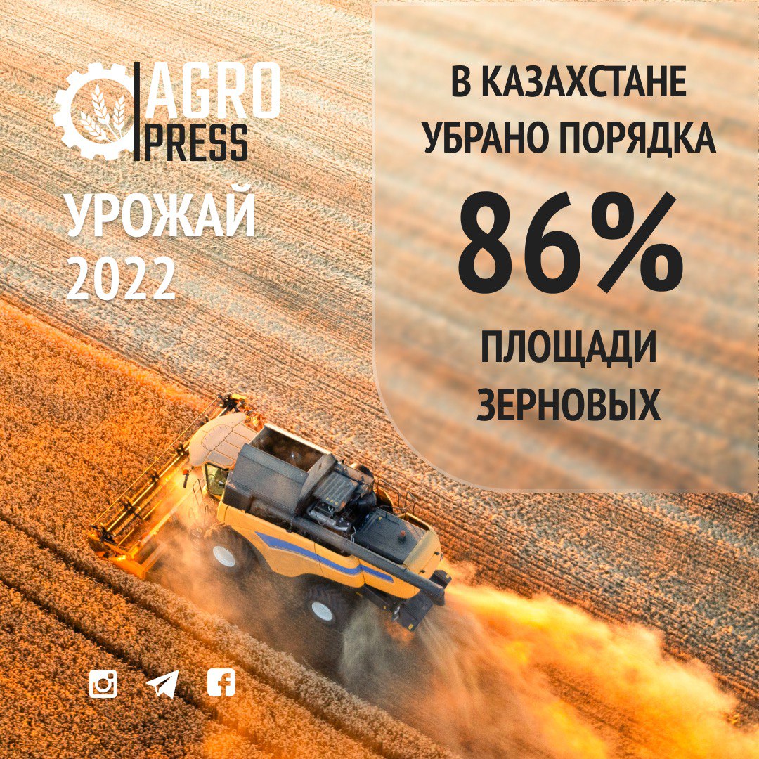 Урожай 2022: в Казахстане убрано порядка 86% площади зерновых