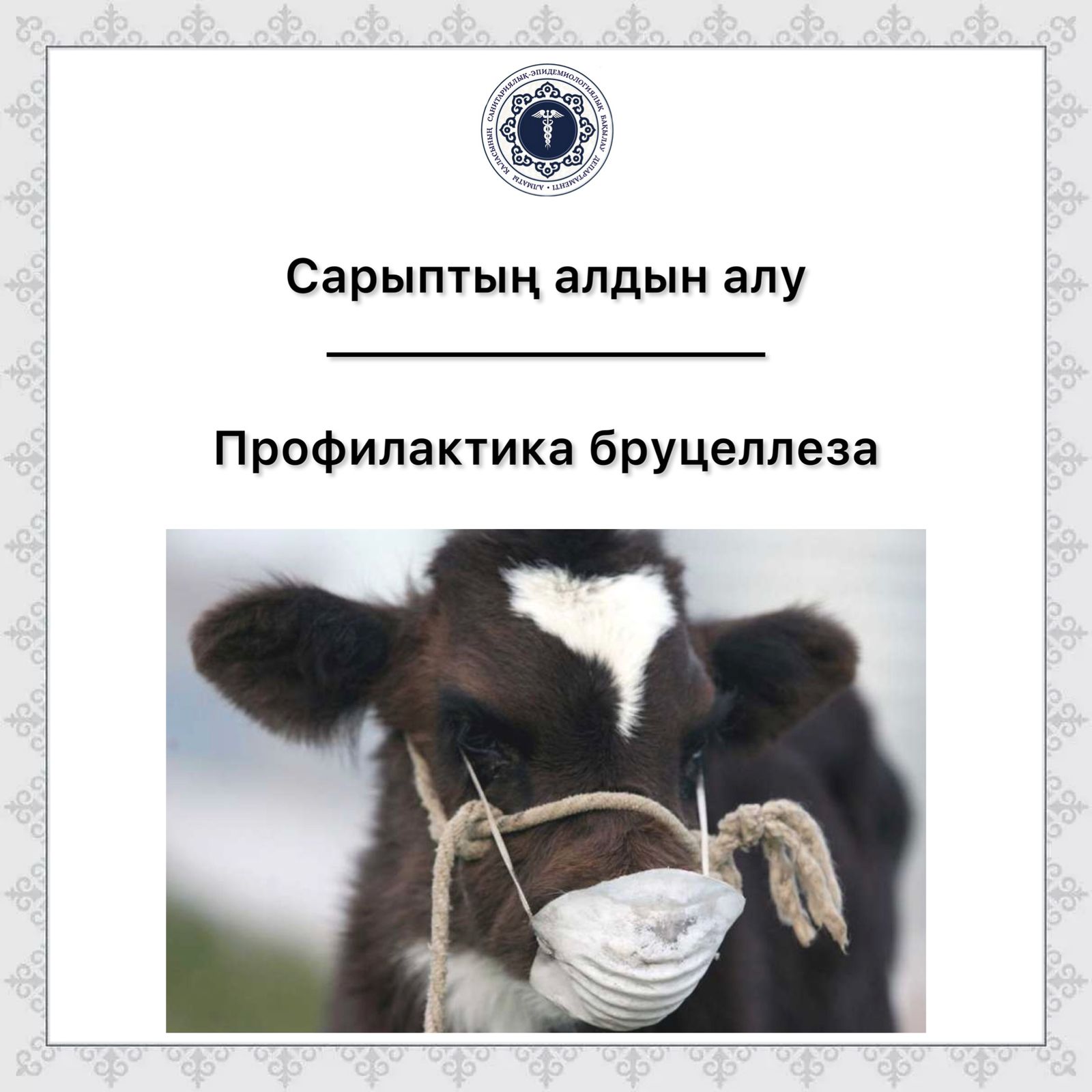 Неміс ұйықтайтын порно