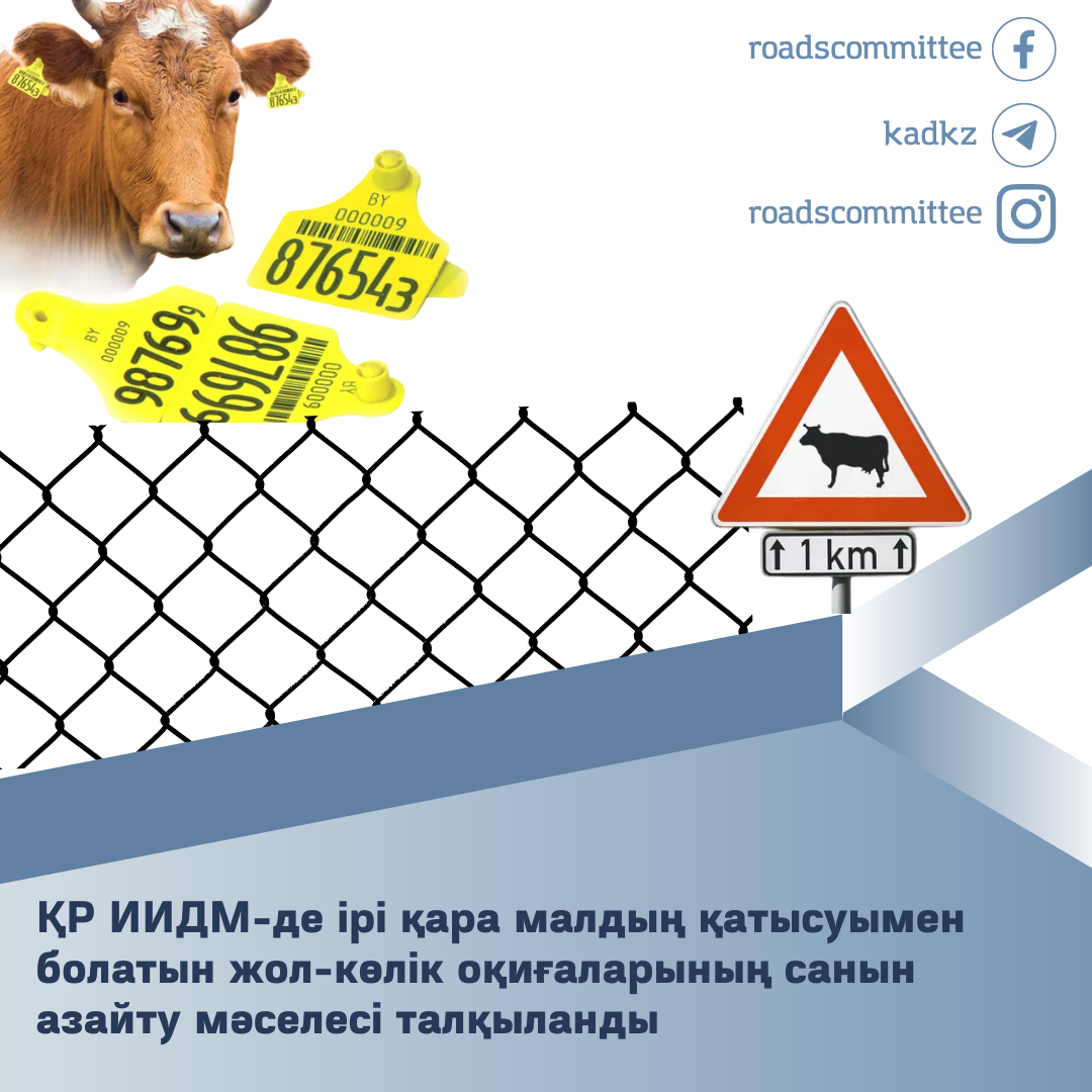 Домина дәретханадан кейін анусты жалауға мәжбүр болды