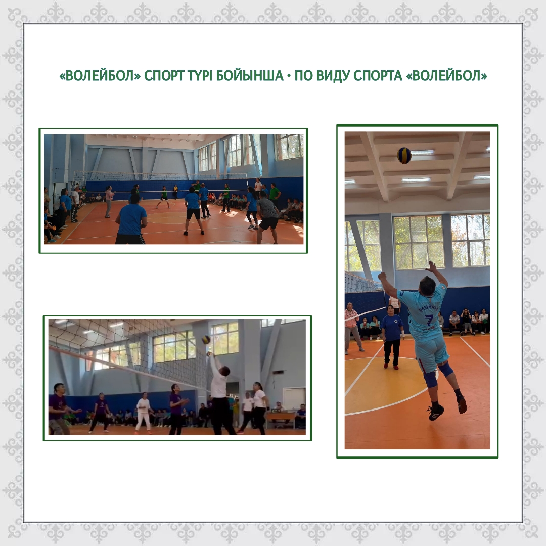 Короздардың жеке видеосы