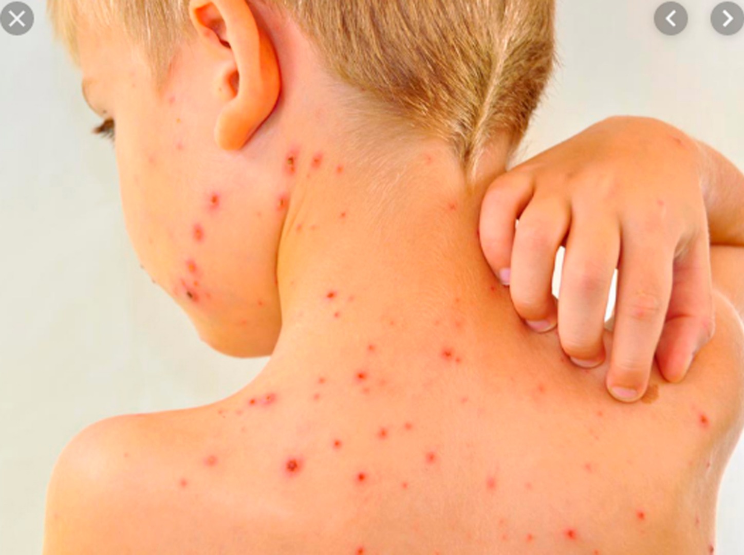 Желідегі оргазмды шашатын таңдау