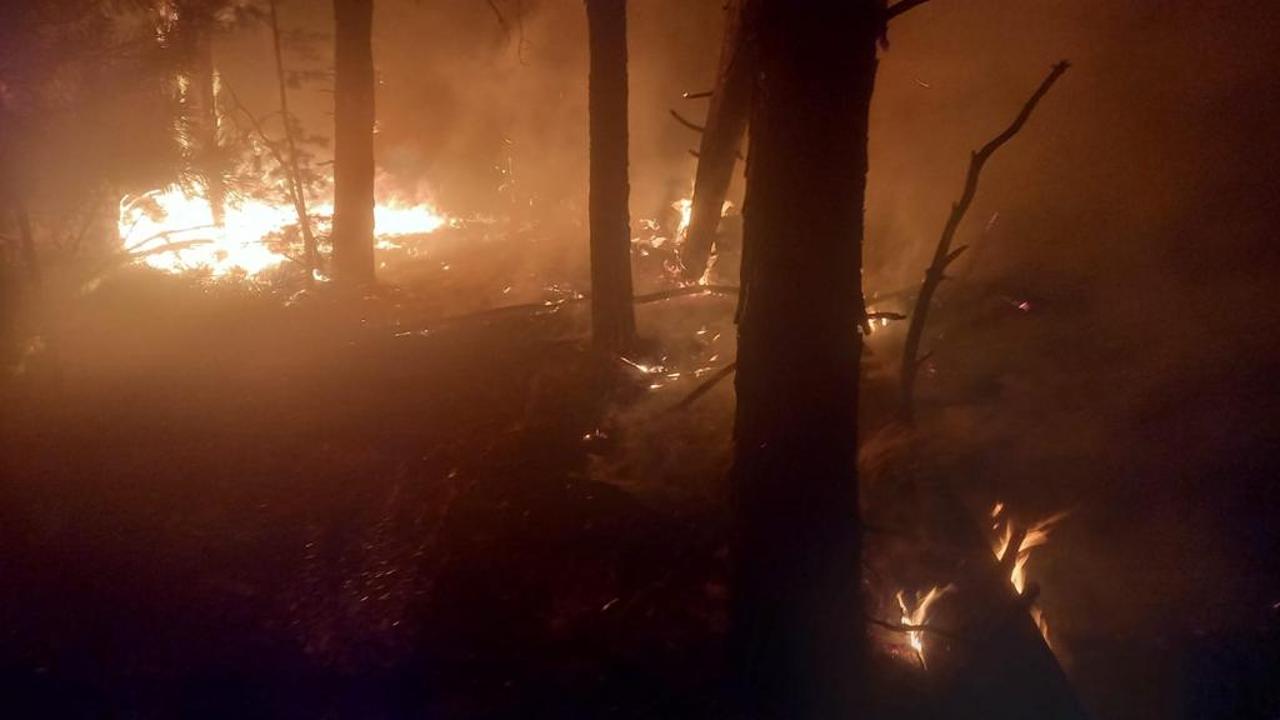 Оперативная информация по природному пожару произошедшему   в Костанайской области на 13.00 часов 5 сентября