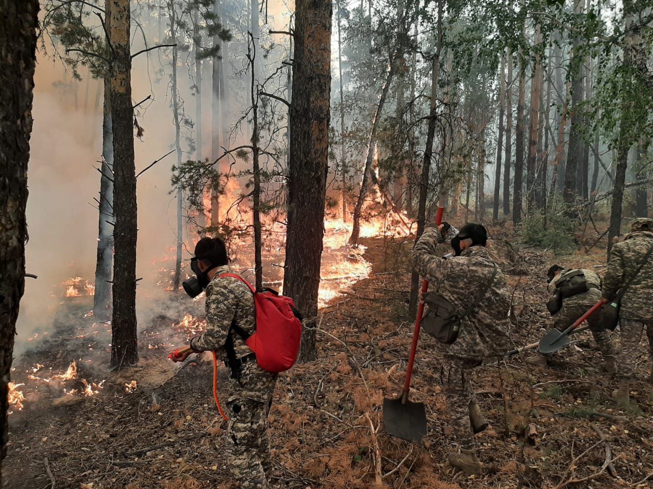 Военнослужащие Вооруженных сил завершили работы по ликвидации пожара в Костанайской области