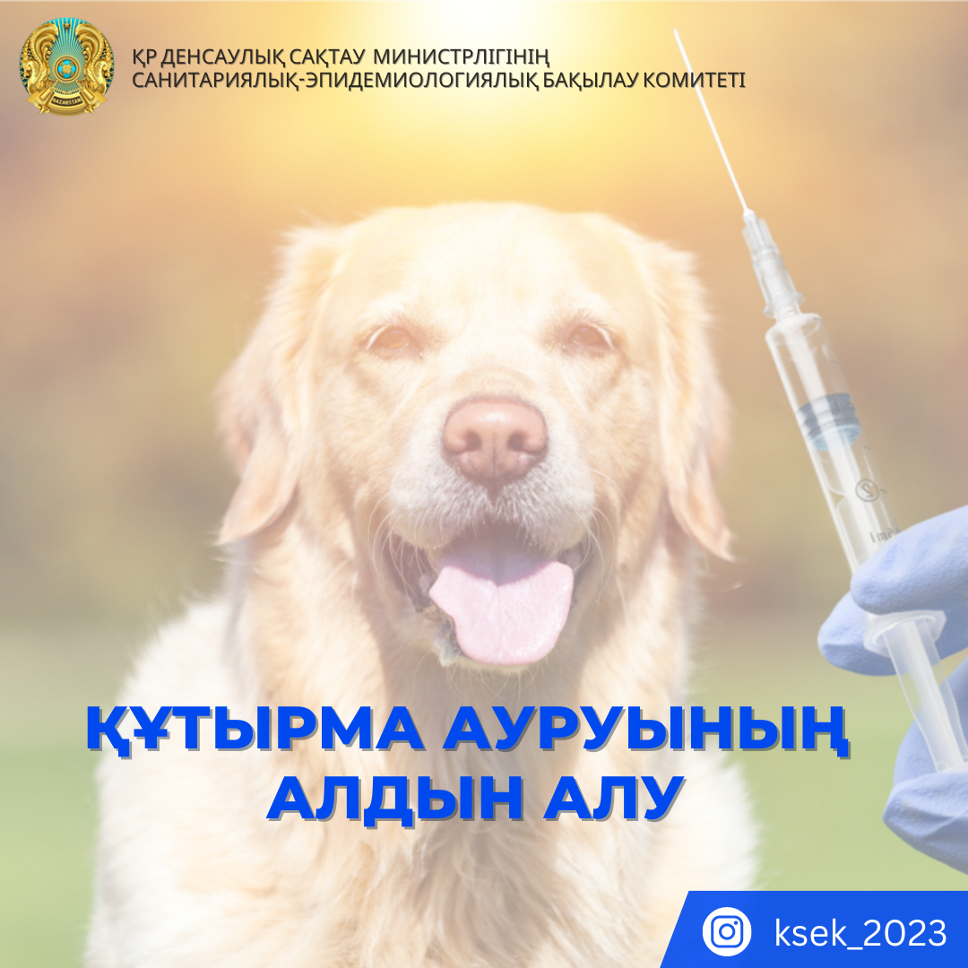 Менің бөксем клизмадан ауырып тұр.