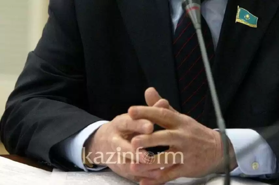 Жаңадан сайланған Сенат депутаттары алдағы жоспарын айтты