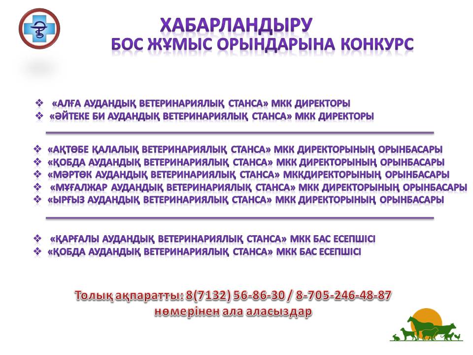 Мұғалімдермен жыныстық қатынас Жігіт қызметші қызды жазалап, ебілді.