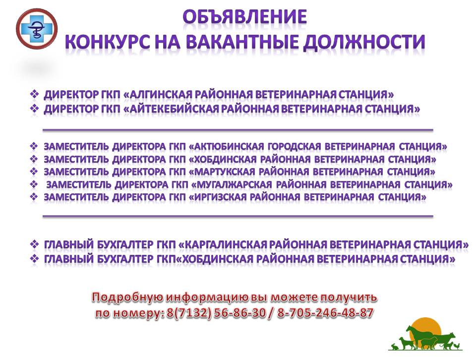 Замещенные вакансии. Конкурс на замещение вакансии объявление
