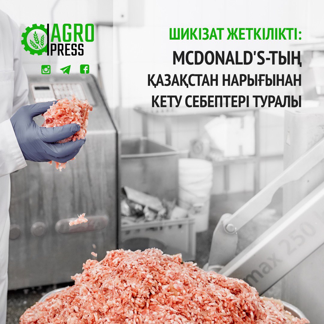 Шикізат жеткілікті: McDonald's-тың Қазақстан нарығынан кету себептері туралы