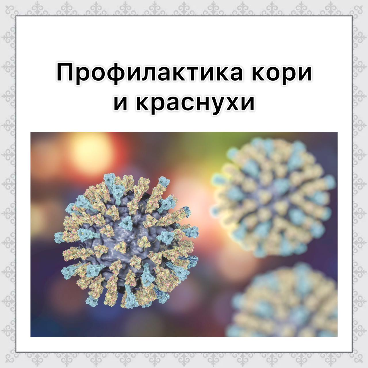 Профилактика кори и краснухи