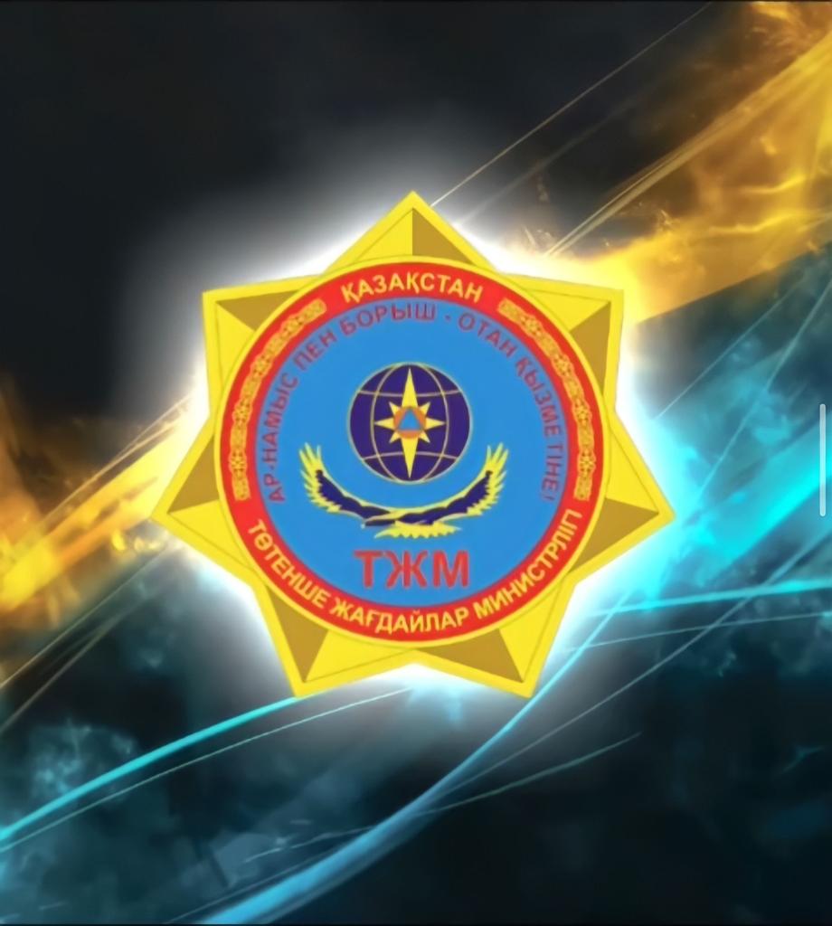 ТЖМ сайтында азаматтардың ТЖ кезіндегі іс-әрекеттері бойынша ұсынымдарға сілтеме жаңартылды