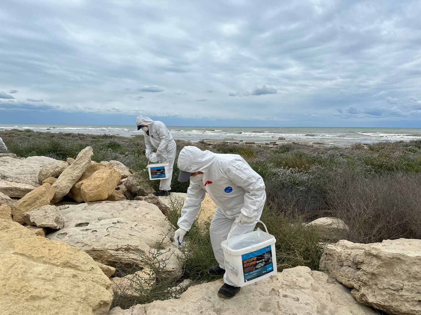 Ақтауда кеміргіштерге қарсы дератизация жұмыстары басталды
