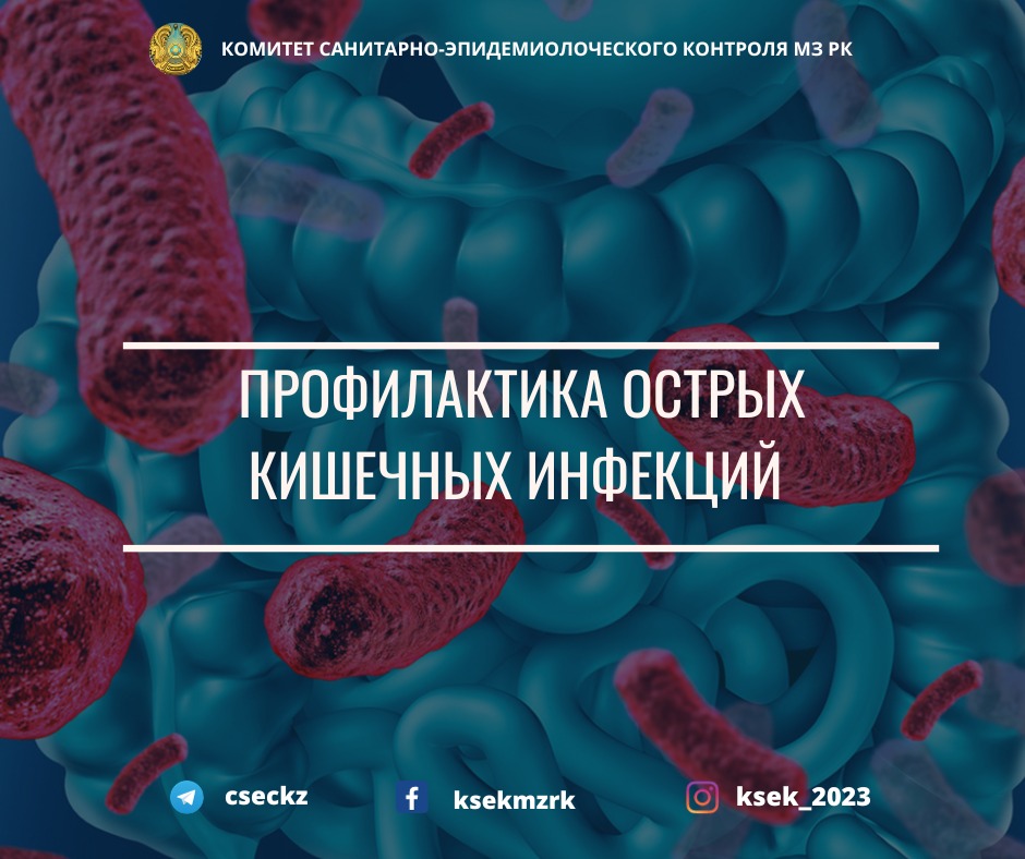 Профилактика острых кишечных инфекций