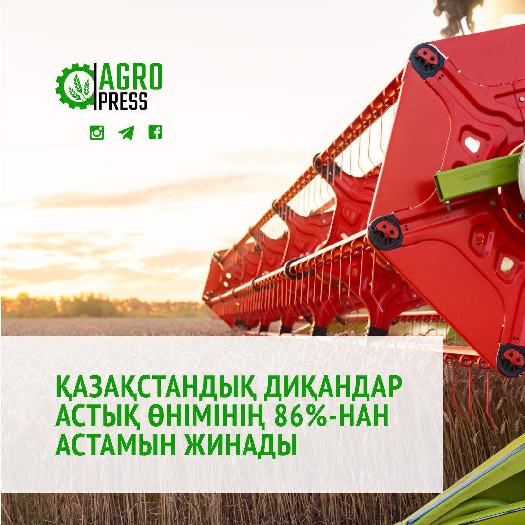 Қазақстандық диқандар астық өнімінің 86%-нан астамын жинады