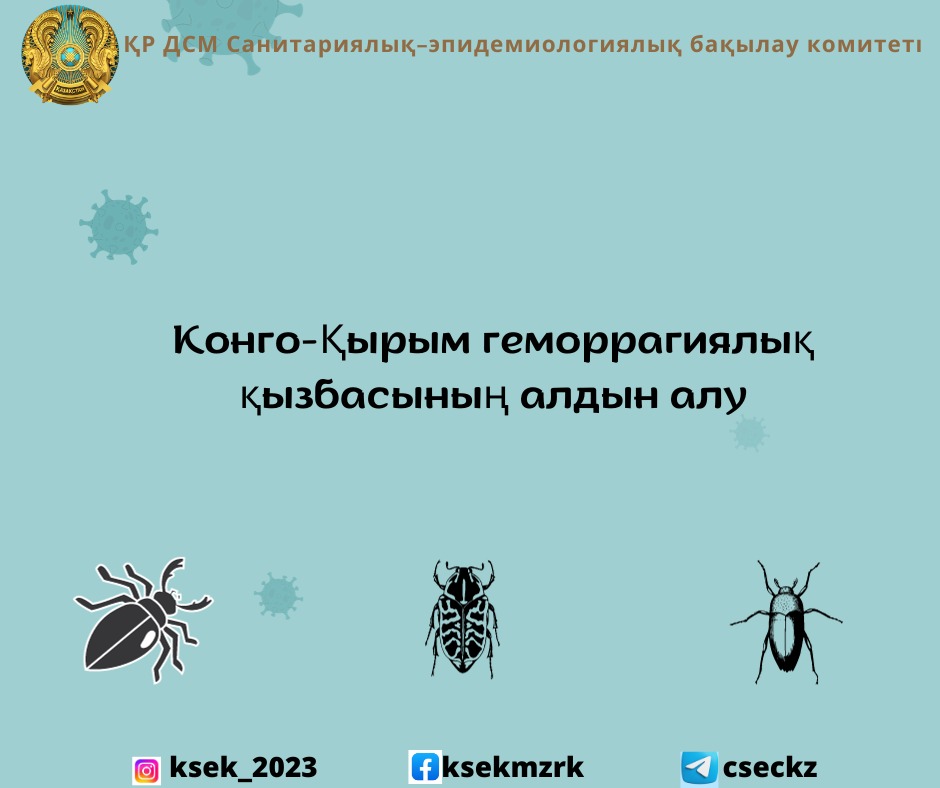 Әйелі мен кавказдық ер адамның порно видеосы