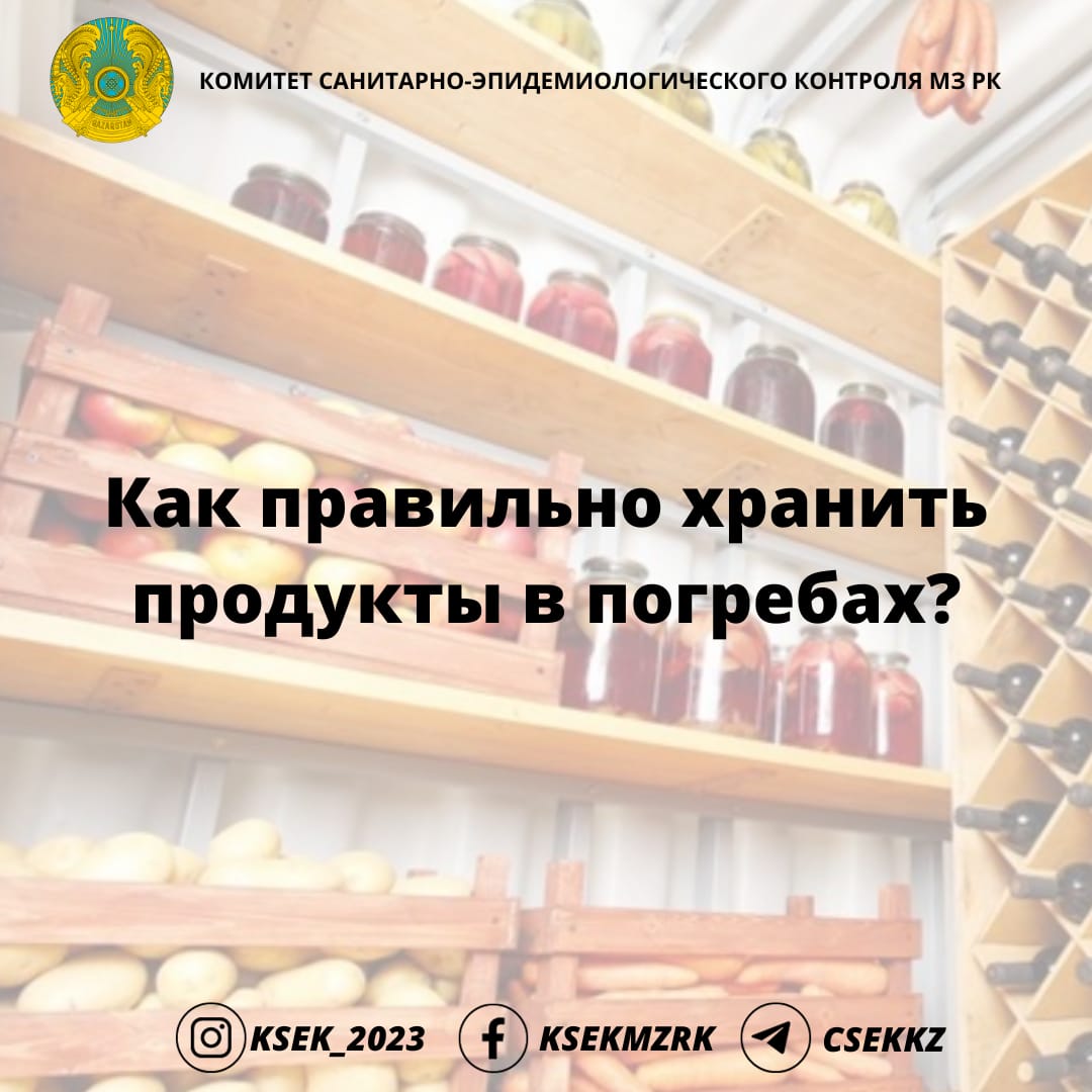Как правильно хранить продукты в погребах?