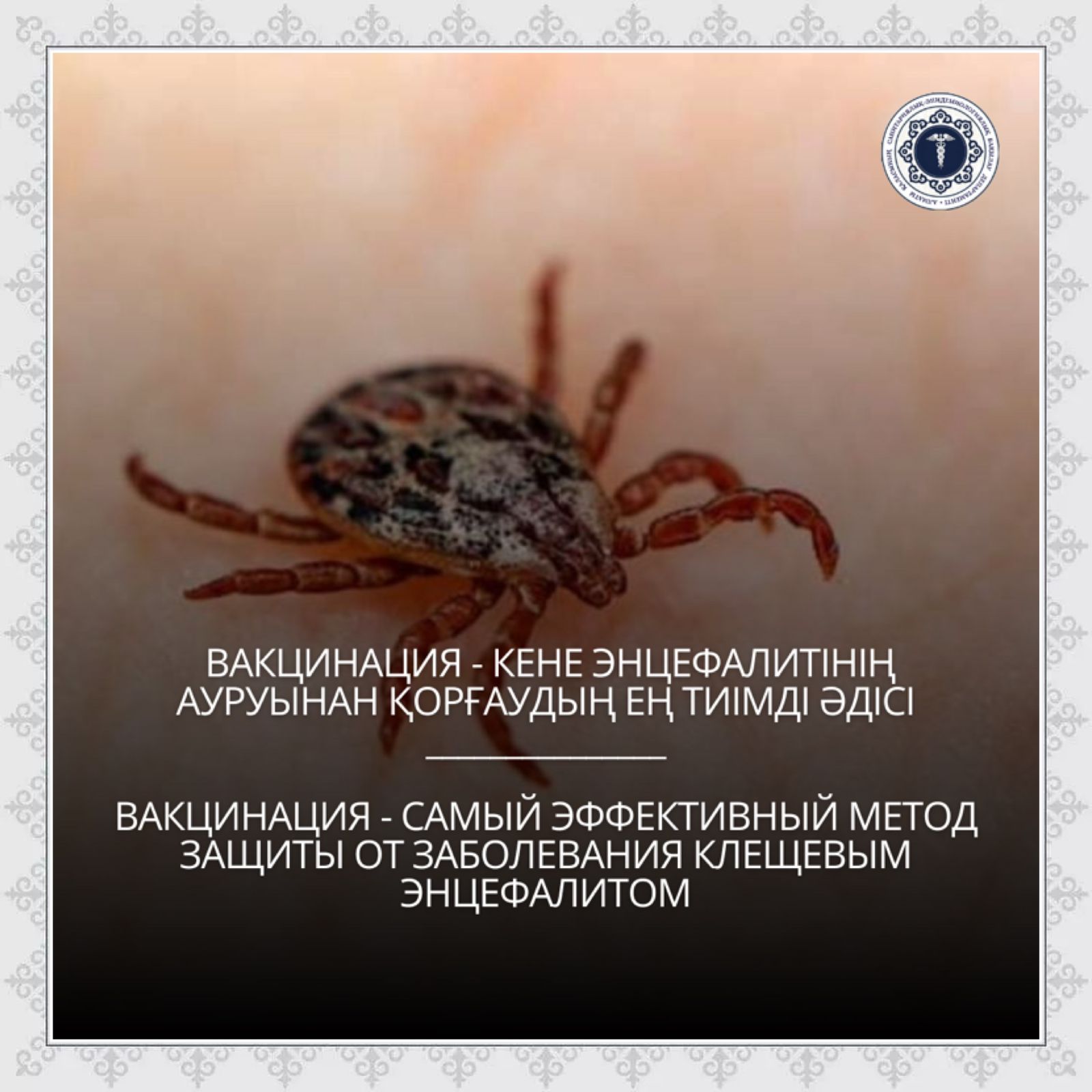 Жыныс мүшесін ұзартқыш қосымшалары бар нақты порно