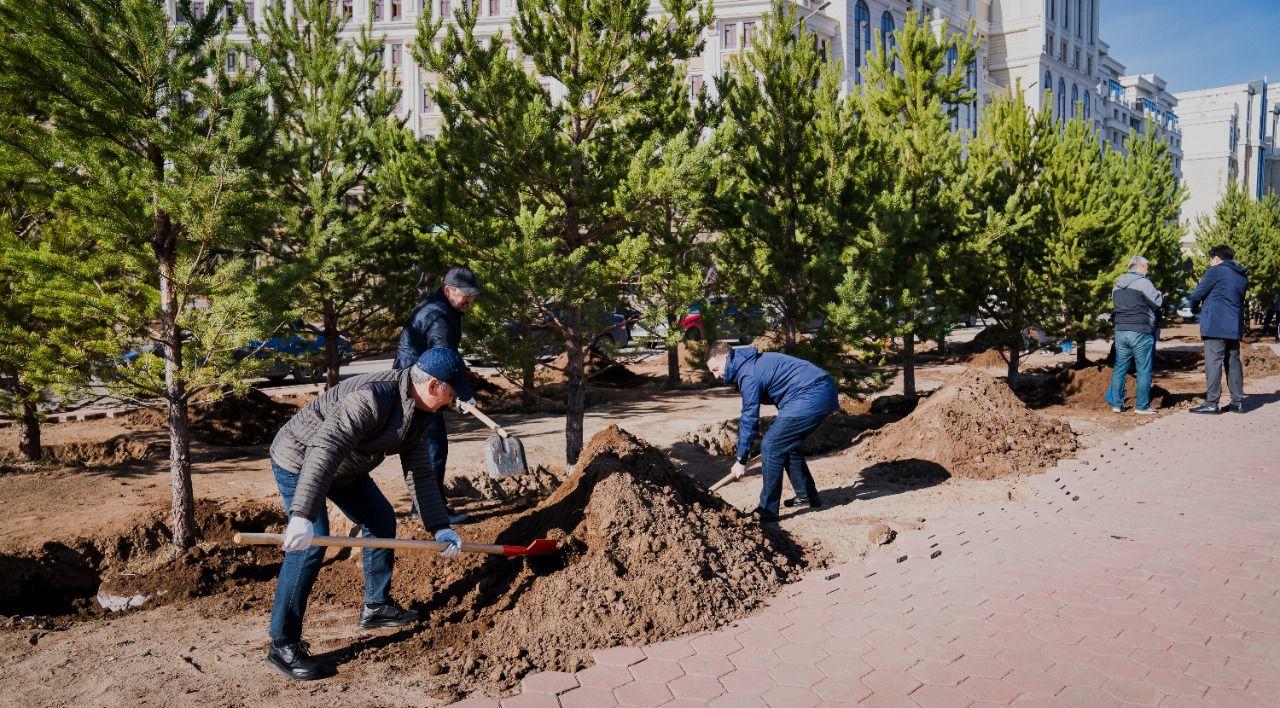 Астанада сенбілік кезінде 1200-ден астам ағаш отырғызылды