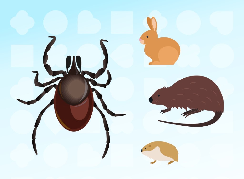 Сексуалды ресейлік студент қыздар эротикалық бейнелерді көреді Жас қыздардың алдында стриптиз