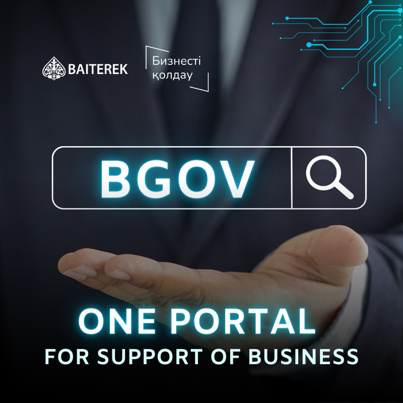 BGOV - One portal for support of business
