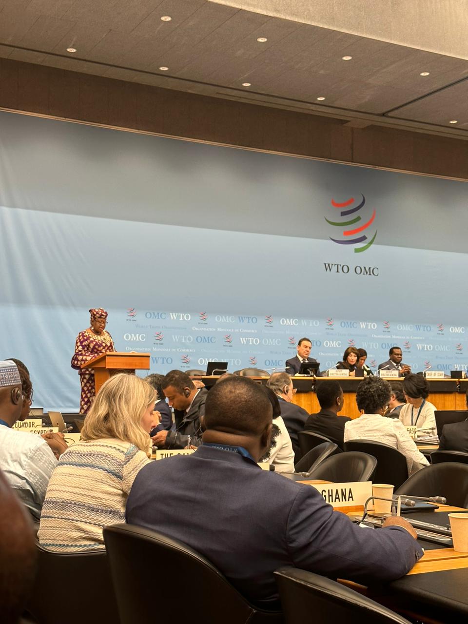 WTO countries are preparing for the 13th WTO Ministerial Conference