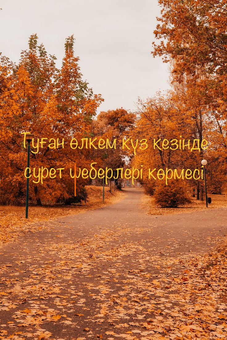 Порно: Бір кискадағы жүз еркек спермы