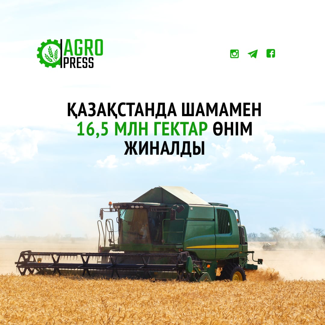 Қазақстанда шамамен 16,5 млн гектар өнім жиналды