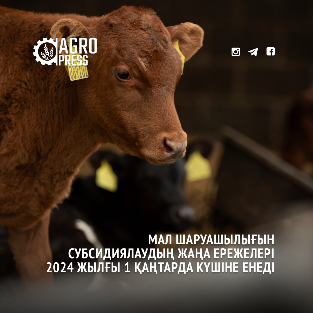 Сынған білек порно секс порно фото төмендеді Тюменьдегі арзан минет