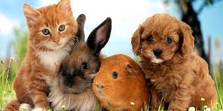 Жігіт жыныстық қатынас кезінде өзін ренжітеді