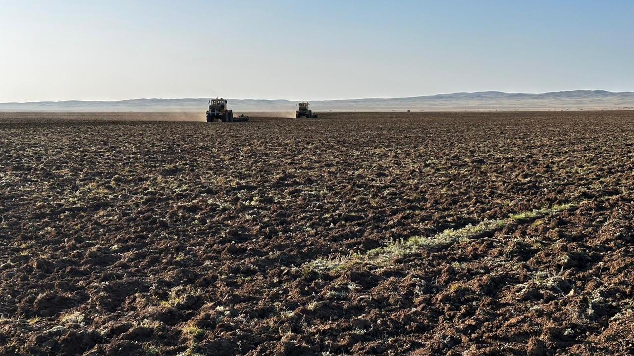 Деградированные пастбища восстанавливают в Карагандинской области