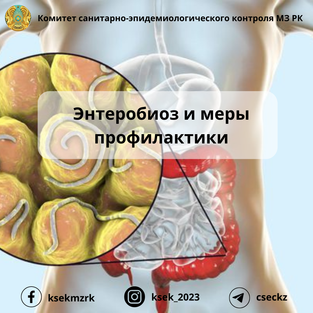 Энтеробиоз и меры профилактики