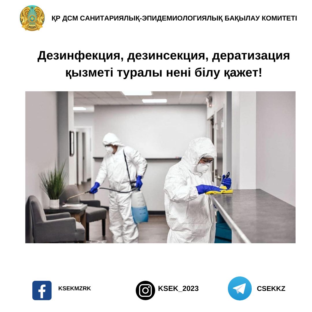 Дезинфекция, дезинсекция, дератизация қызметтері туралы не білуіңіз керек!
