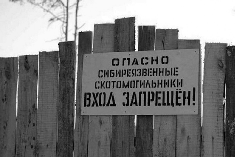 В ВКО выявлены нарушения правил на местах сибиреязвенных захоронений