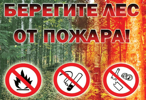 Итоги пожароопасного сезона 2023 года по лесным хозяйствам Северо-Казахстанской области