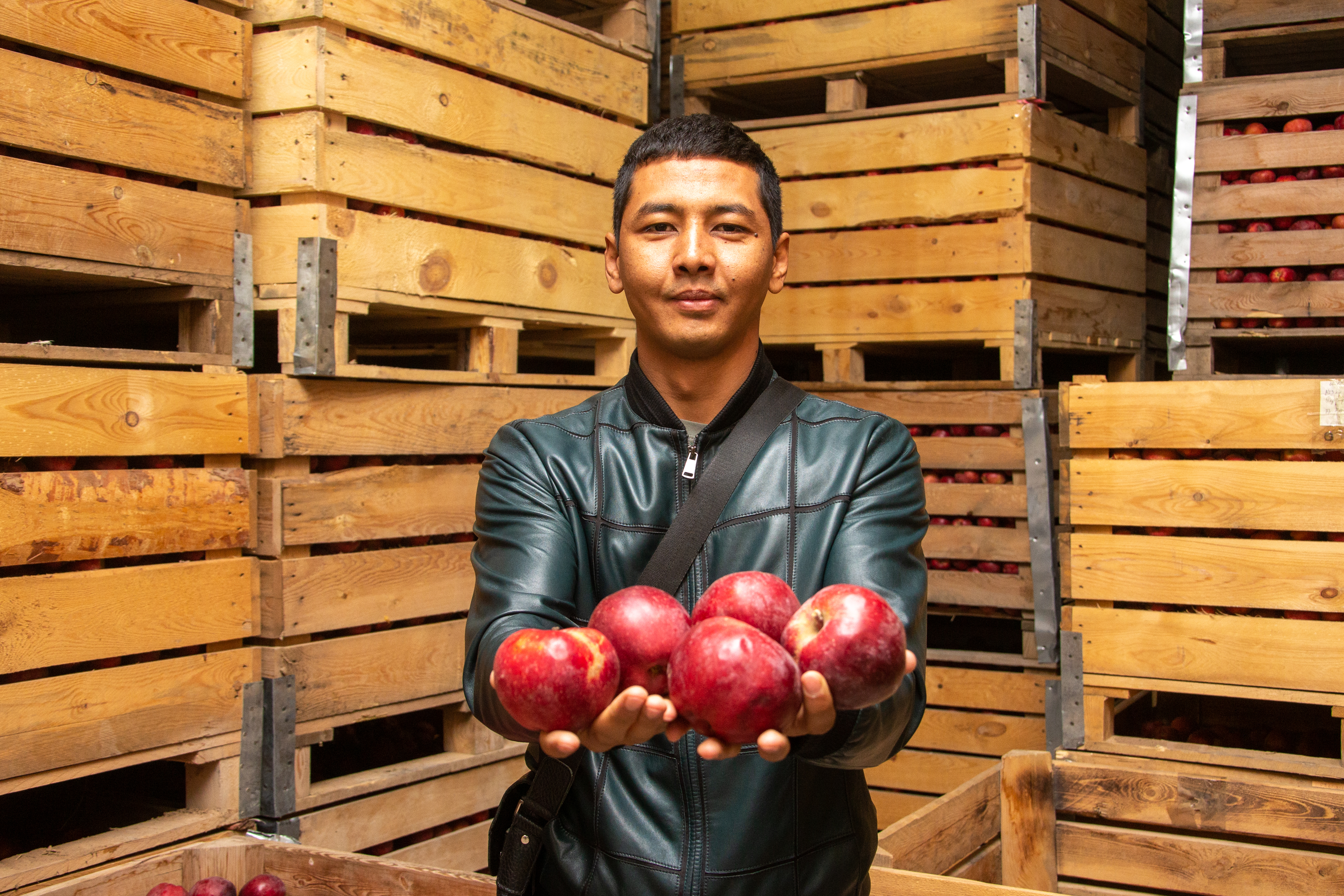 В Панфиловском районе запустят крупное овощефруктохранилище