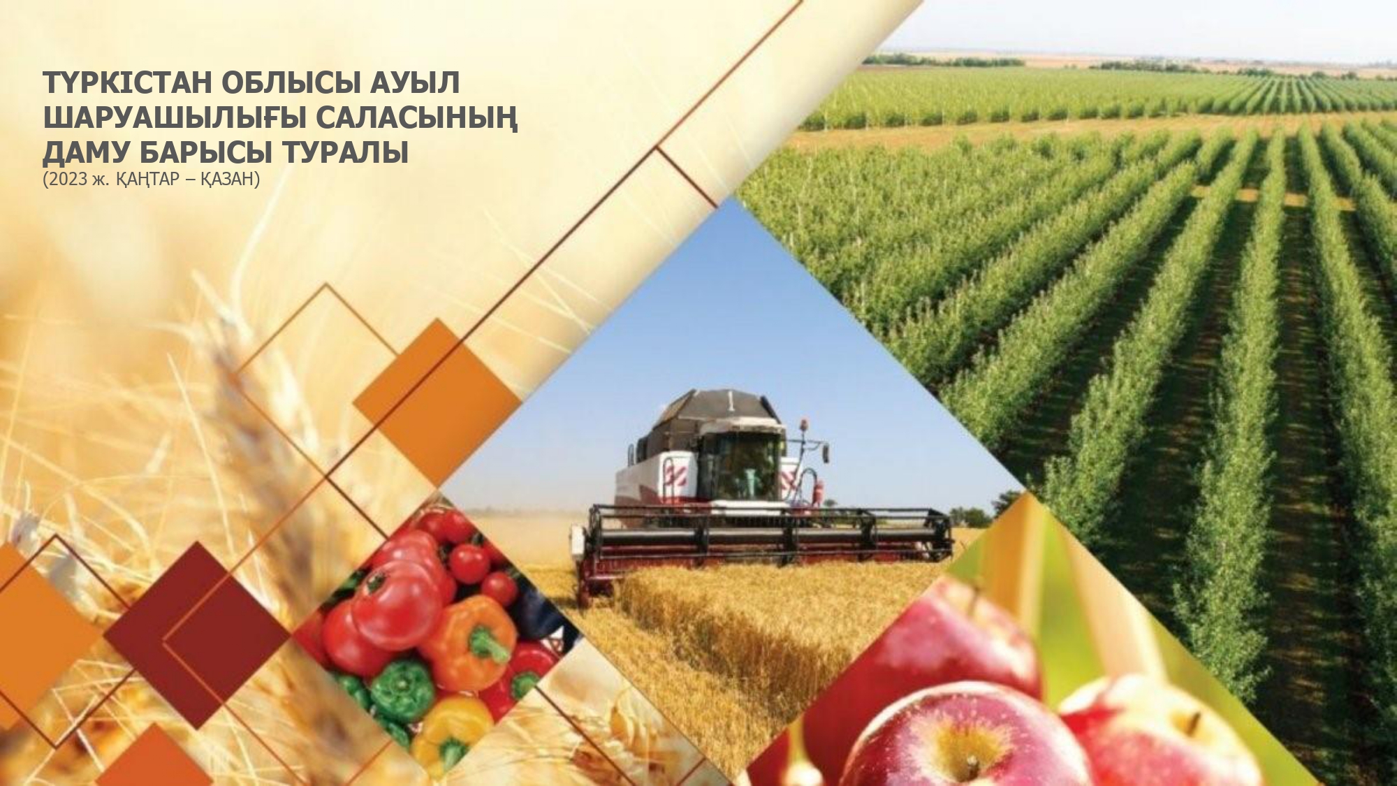 Түркістан облысы агроөнеркәсіптік кешенінің 10 айдағы даму көрсеткіштері