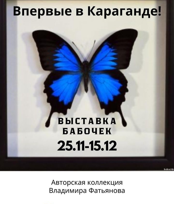 Выставка бабочек откроется в Карагандинском зоопарке