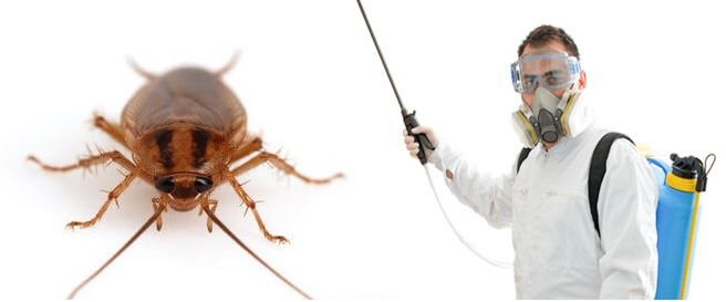 Как обезопасить себя и соседей во время обработок  против насекомых (клопы, тараканы и т.д.)