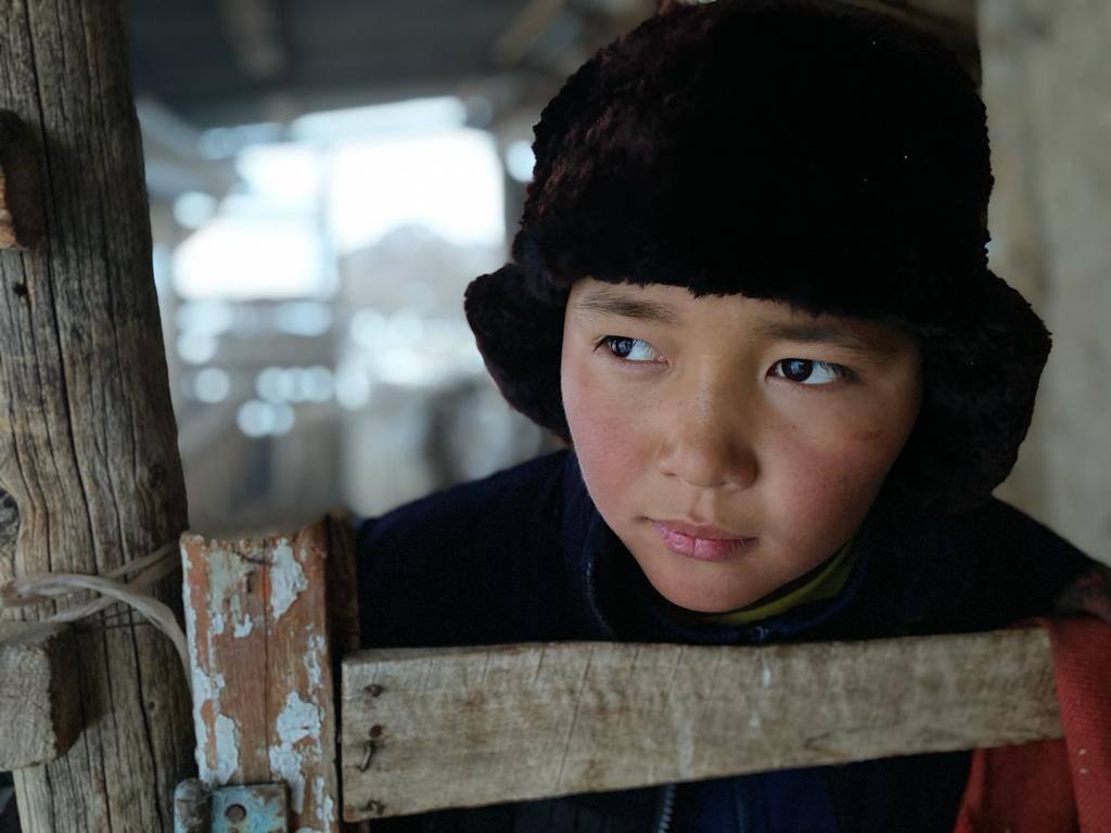 Три казахстанских фильма выиграли «Азиатский Оскар»