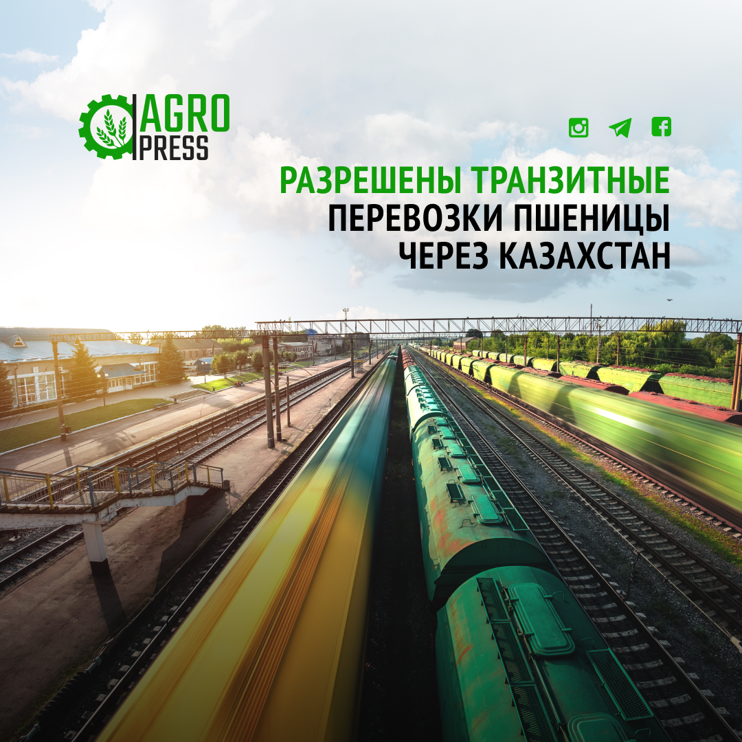 С 3 ноября 2023 года официально разрешены транзитные перевозки пшеницы через Казахстан