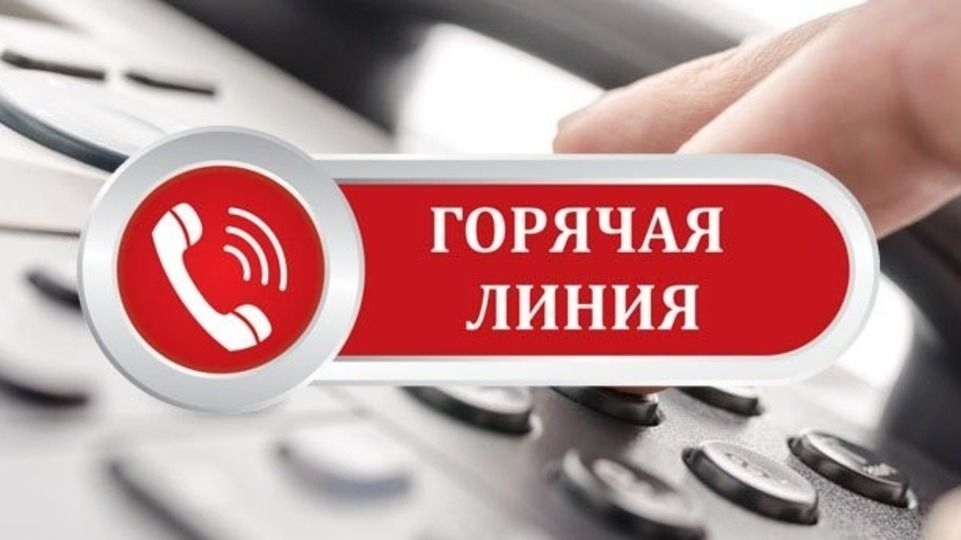 Открыта горячая линия