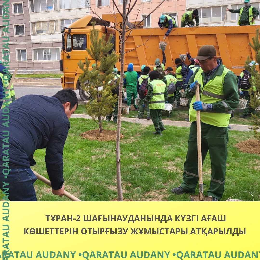 В микрорайоне Туран-2 проведена осенняя посадка саженцев деревьев.