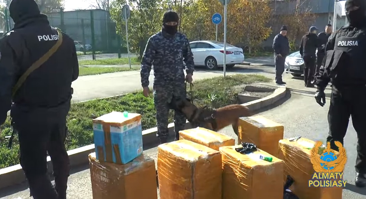 Мира есімді порно актрисалар