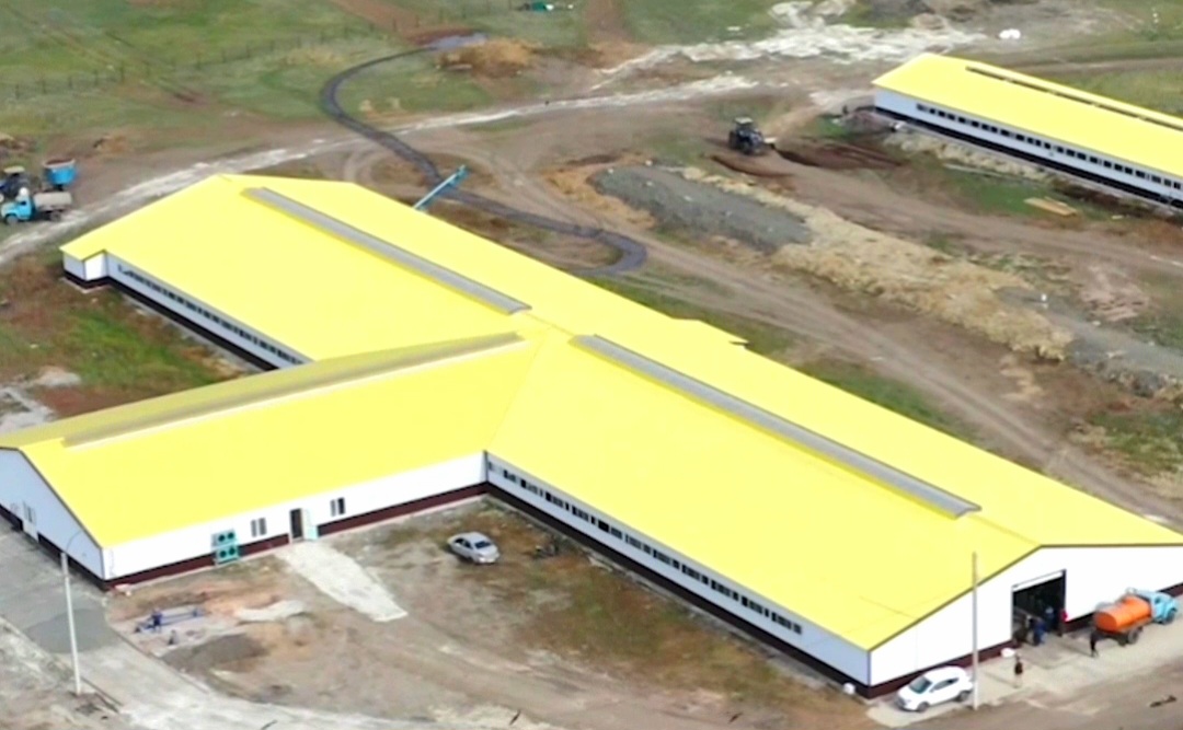 В СКО запустили новую молочную ферму