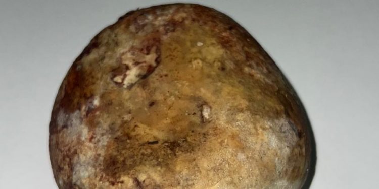 Жалаңаш Любовь Тихомированың барлық суреттері