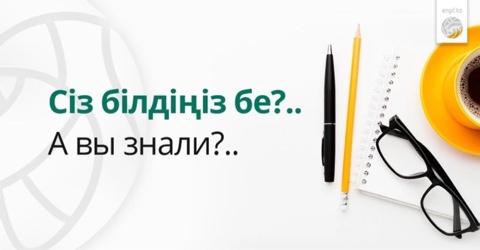 Ерікті зейнетақы жарналары - зейнетақы капиталын толықтырудың тиімді әдісі