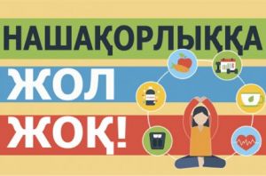 «Қарлығаш» лагеріндегі нашақорлыққа қарсы акция: «Нашақорлыққа қарсымыз»
