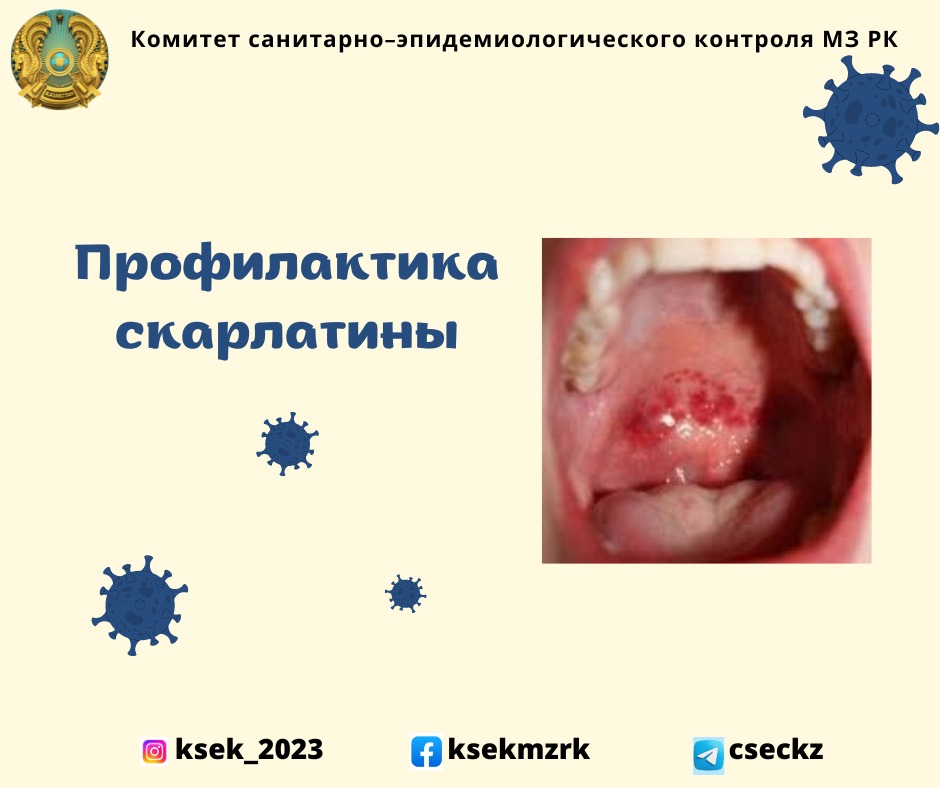 Профилактика скарлатины