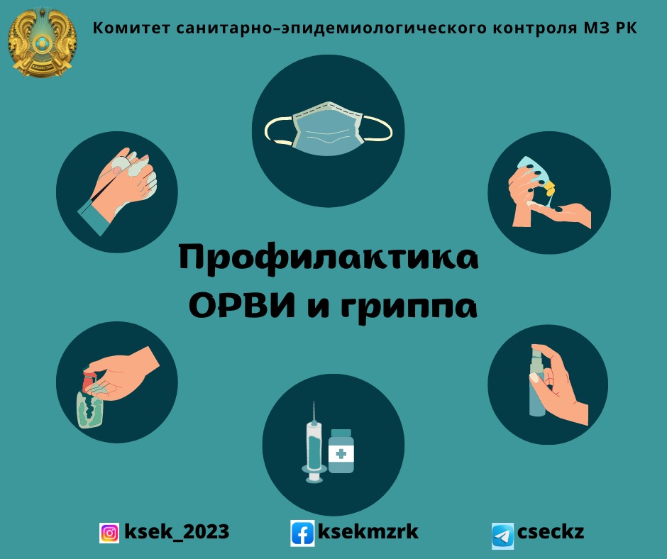 Профилактика ОРВИ и гриппа