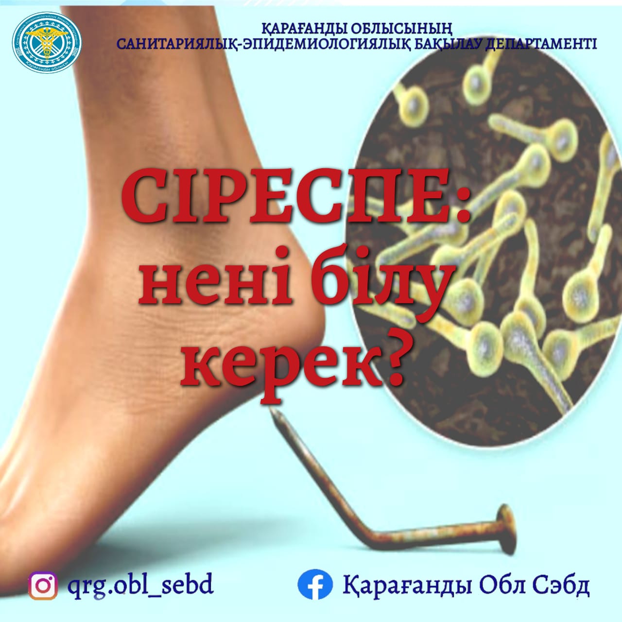 Сіреспе: нені білу керек?